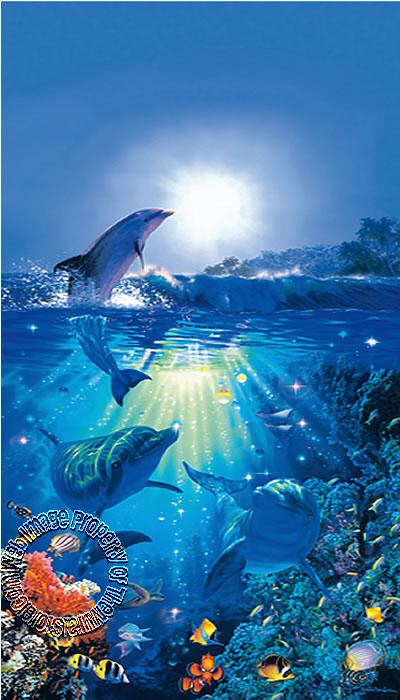 Murals Wallpaper on Dolphins In The Sun Wall Mural