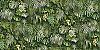 Luana Green Tropical Forest Wallpaper