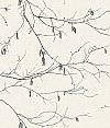 Winter Branches Wallpaper