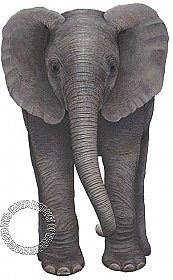 Baby Elephant Peel & Stick Applique 51105