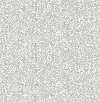 Twinkle Grey Texture Wallpaper