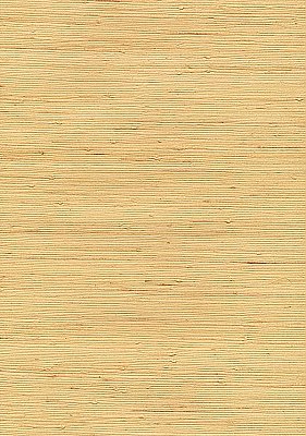 Kazue Neutral Grasscloth Wallpaper