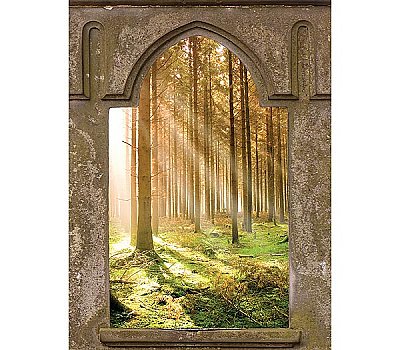 Mystic Forest Window Mural UMB91126