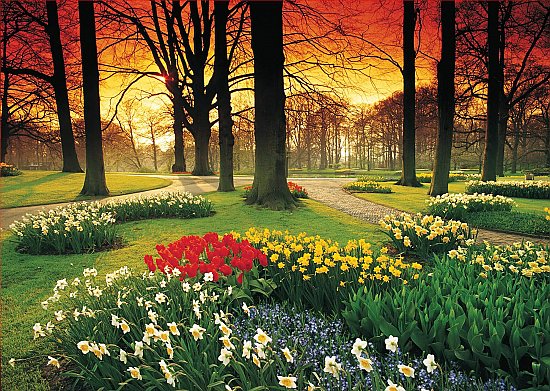 Floral Sunset Wall Mural