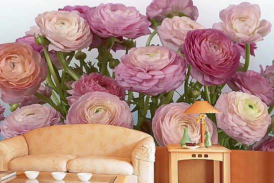 Buttercaps Blooms Roses Wall Mural DS8056 Roomsetting