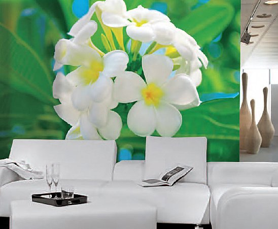 Frangipani Blossoms Mural 286 by Ideal Decor