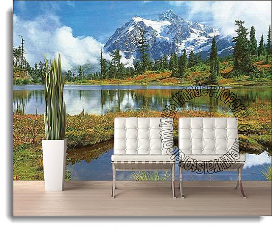 Mt Shuksan And Picture Lake Wall Mural DS8036