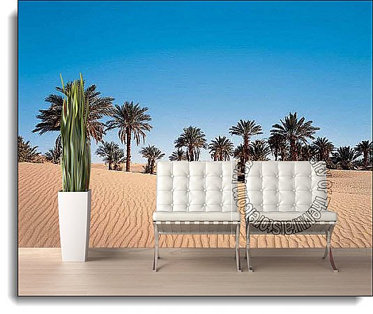 Desert Palm Wall Mural DS8068 