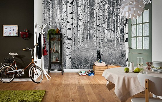 Birch Forest by Komar XXL4-023 Roomsetting