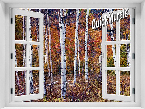 Autumn Birches Window Mural