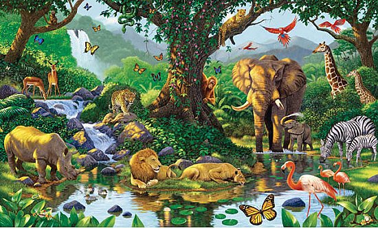 Natures Harmony Wall Mural C845