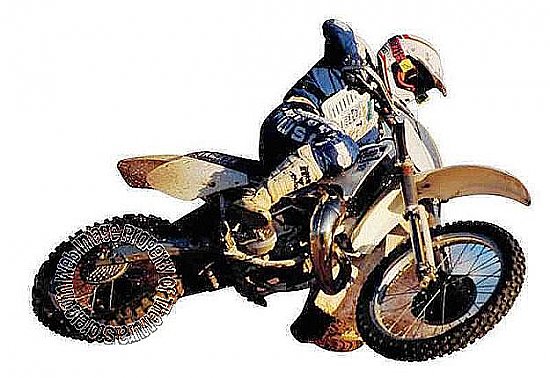 Dirt Rider Mural 258-75019M