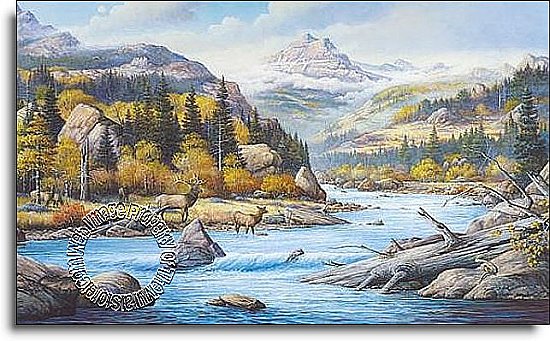 Elk Country Mural C827 by Environmental Graphics