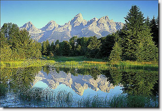 Mountain Reflection One-piece Peel & Stick Canvas Wall Mural