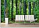Woodland Forest Peel & Stick Canvas Wall Mural roomsetting