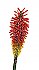 Red Flower Peel & Stick Applique 180200