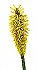 Yellow Flower Peel & Stick Applique 231600