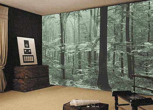 magic forest wall mural