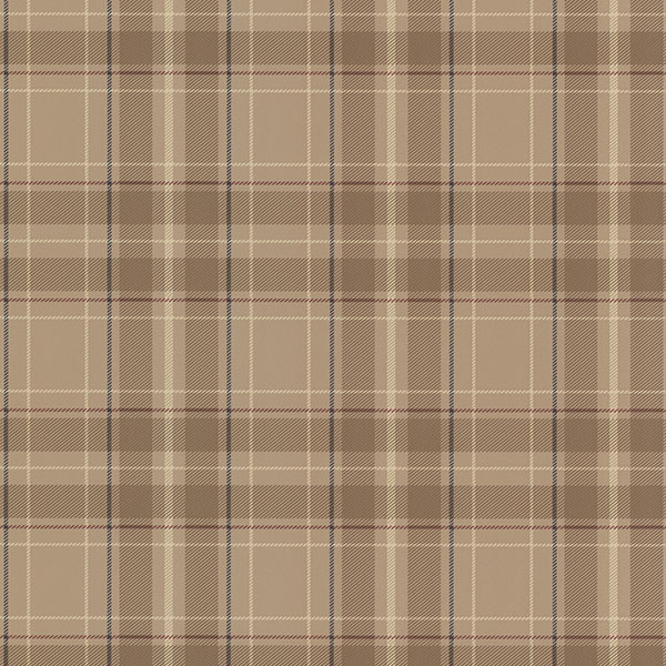 20+ Plaid HD Wallpapers and Backgrounds