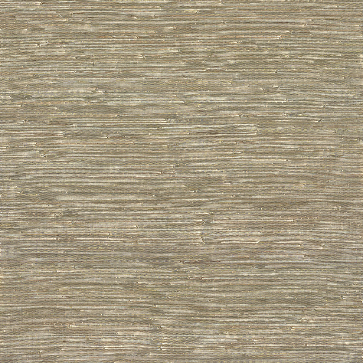 Iriga Gold Grasscloth Wallpaper |Wallpaper And Borders |The Mural Store