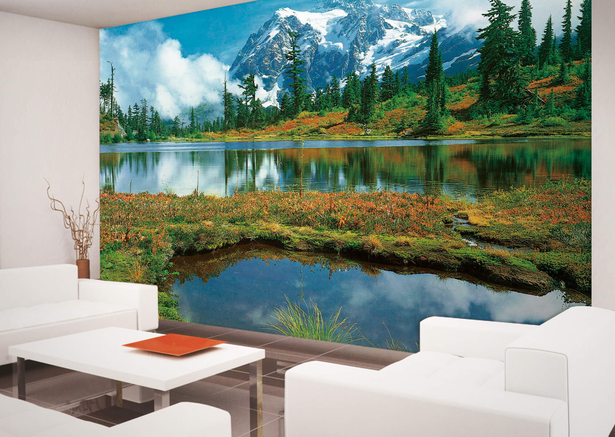 Mt Shuksan And Picture Lake Wall Mural |Full Size Large Wall Murals