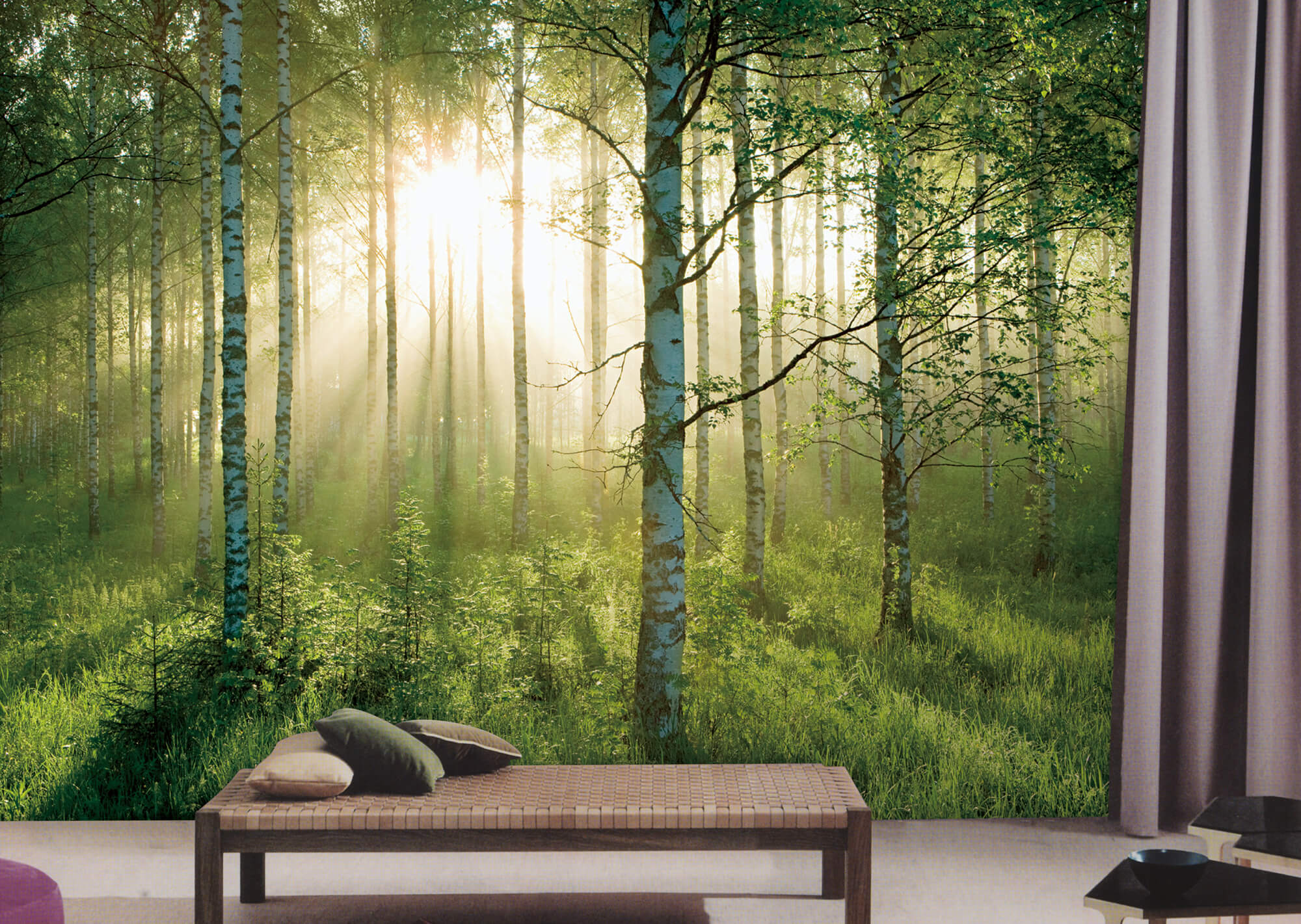Sunlight Forest Mural PR1855 |Full Size Large Wall Murals |The Mural Store