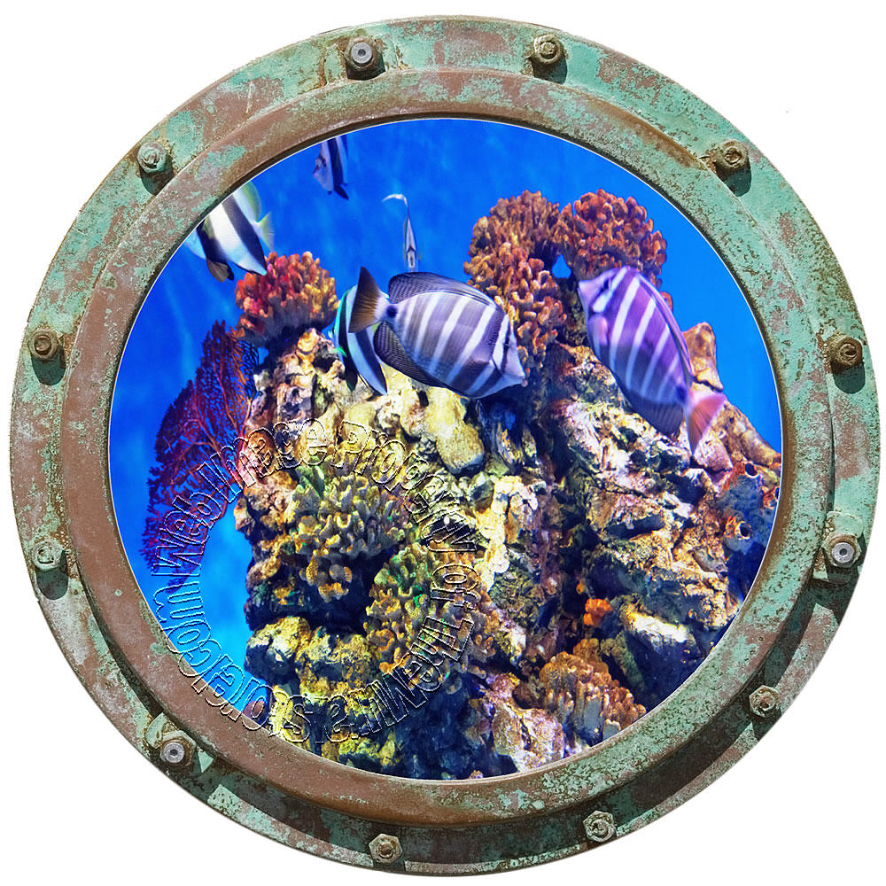 undersea-porthole-3-mural-mid-size-wall-murals-the-mural-store