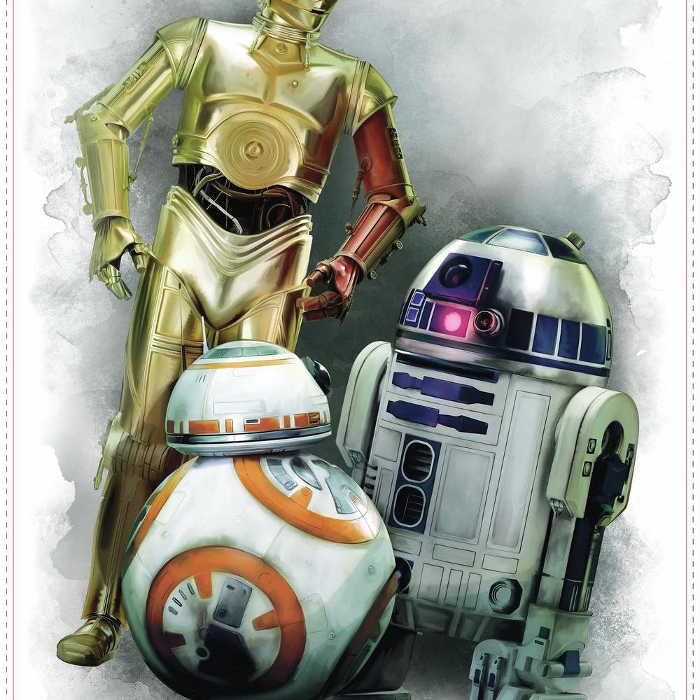 R2D2 and C3PO 7 Star Wars Episode VII The Force Awakens Droids 4 Pack of 8x10 Photos Featuring Characters BB8 BigWig Prints 