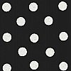 Lunette Black Polka Dot Wallpaper