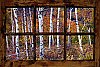 Birch Forest Window One-piece Peel and Stick Canvas Wall Mural