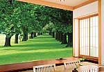 Country Morning Wall Mural Full Size Large Wall Murals The Mural Store   13 667 Dm 