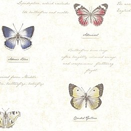 Admiral Beige Butterflies And Script Wallpaper