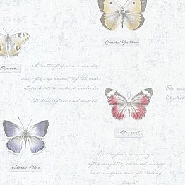 Admiral Blue Butterflies And Script Wallpaper