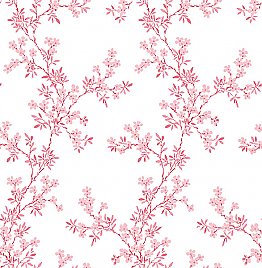 Claire Pink Floral Trail  Wallpaper