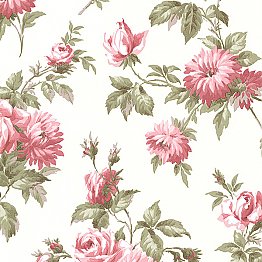Charlotte Pink Vintage Rose Toss Wallpaper