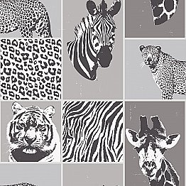 Zoya Grey Safari Wallpaper