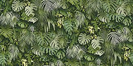 Luana Green Tropical Forest Wallpaper