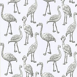 Flamingo Salmon Graphic Wallpaper