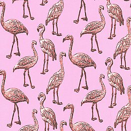 Flamingo Pink Graphic Wallpaper