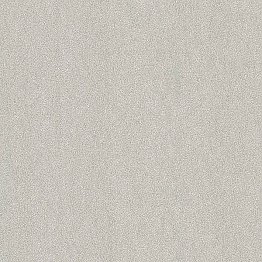 Matter Light Grey Texture Wallpaper