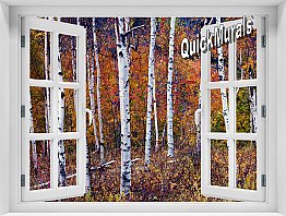 Autumn Birches Window 1-Piece Peel and Stick Mural