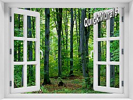 Woodland Forest Window 1-Piece Peel & Stick Mural