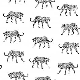 Prowl White Jaguars Wallpaper