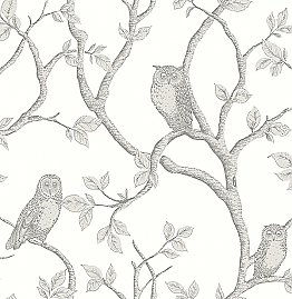 Enchanted Forest Grey Owl & Tree Wallpaper