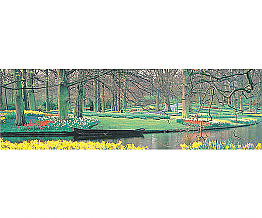 Spring Reflections Wall Mural