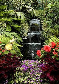 Floral Waterfall