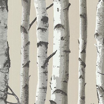 Irvin Grey Birch Tree Wallpaper