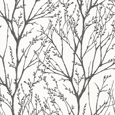 Delamere Black Tree Branches Wallpaper
