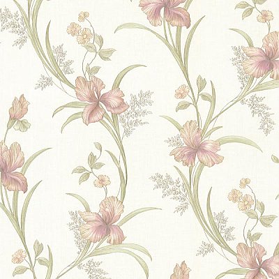 Misty Rose Lily Trail Wallpaper