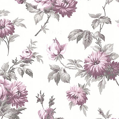 Charlotte Purple Vintage Rose Toss Wallpaper